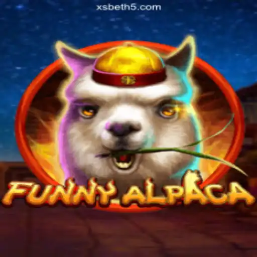 xsbet cassino online licenciado com 2.500+ jogos certificados, bônus R$ 5.000🍀 Slot Machine